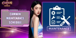 Camwin Maintenance Schedule