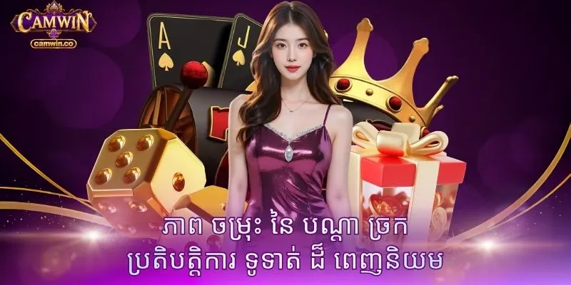 ភាព ចម្រុះ នៃ បណ្តា ច្រក ប្រតិបត្តិការ ទូទាត់ ដ៏ ពេញនិយម