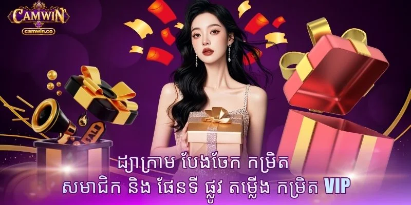 ដ្យាក្រាម បែងចែក កម្រិត សមាជិក និង ផែនទី ផ្លូវ តម្លើង កម្រិត VIP