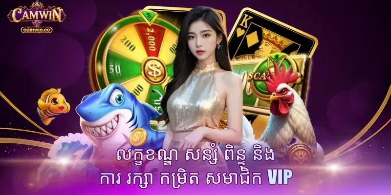 លក្ខខណ្ឌ សន្សំ ពិន្ទុ និង ការ រក្សា កម្រិត សមាជិក VIP
