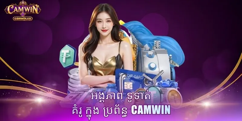 អង្គភាព ទូទាត់ គំរូ ក្នុង ប្រព័ន្ធ CAMWIN